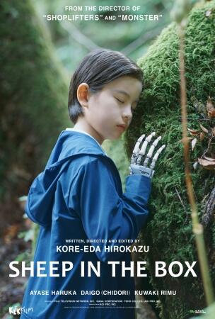 Film ARTHOUSE: SHEEP IN THE BOX