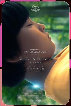 Film KF 2026: SHEEP IN THE BOX